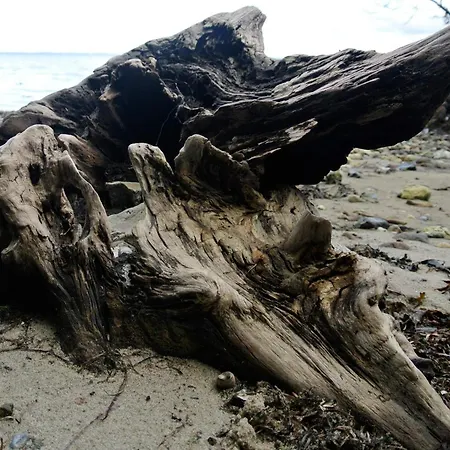 6 Person In Semesterbostad Hejls