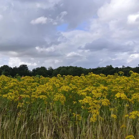 6 Person In Dom wakacyjny Hejls