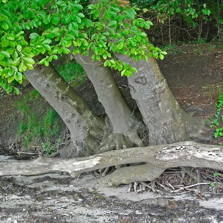 Dom wakacyjny 6 Person In *